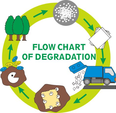 flow chart of degradation.jpg